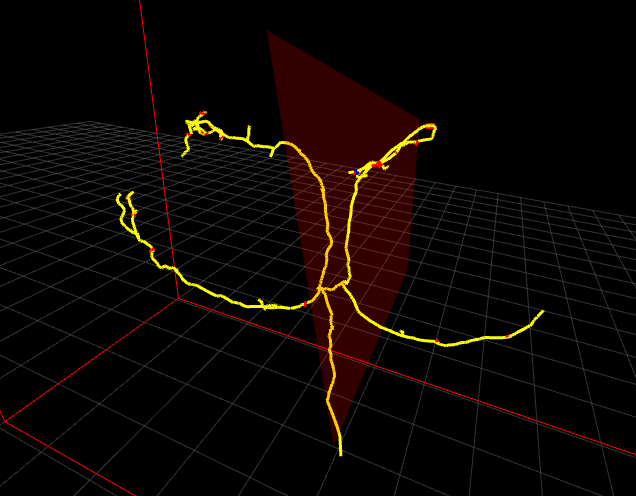 CATMAID 3D Viewer